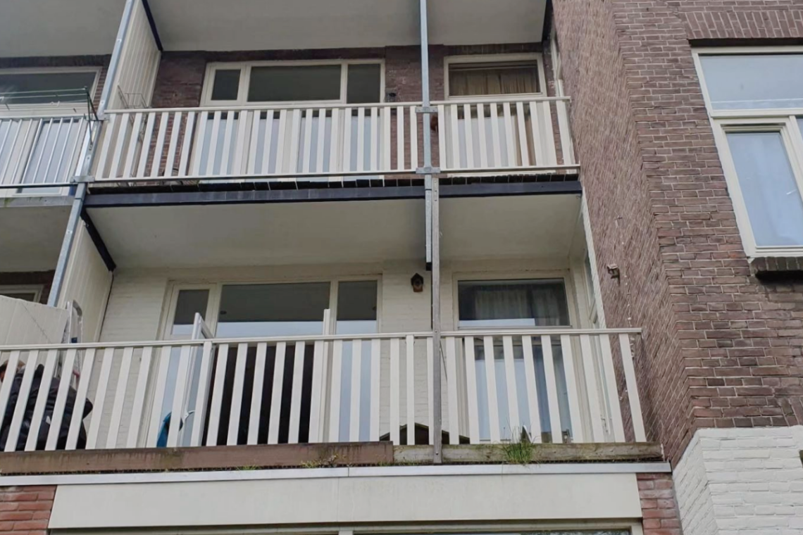 Balkonhekken kopen in Haarlem