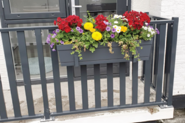 Wat zijn de beste bloemen voor een balkon